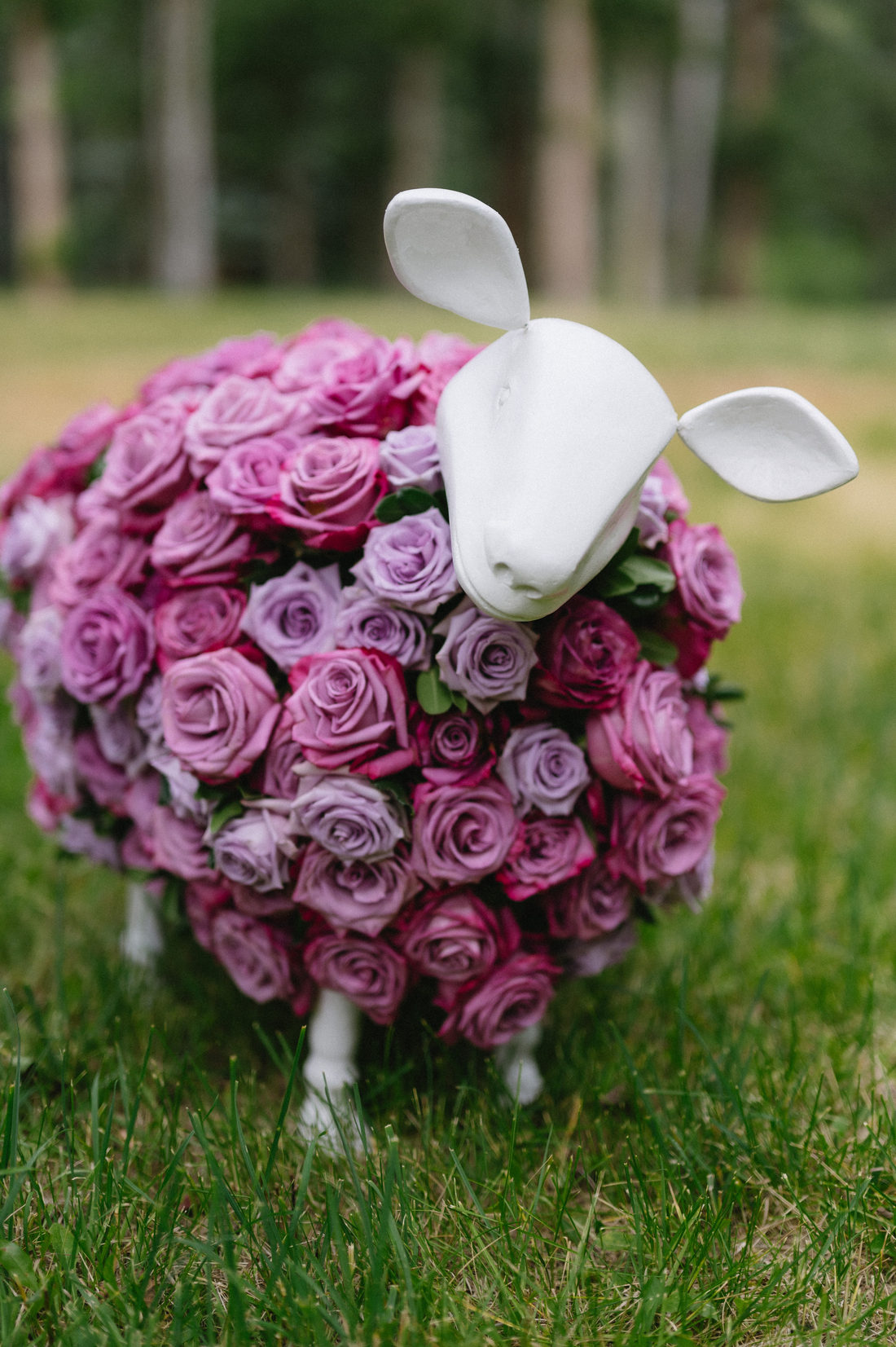 A lamb sculpted from purple roses on the lawn